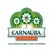 Carnaúba